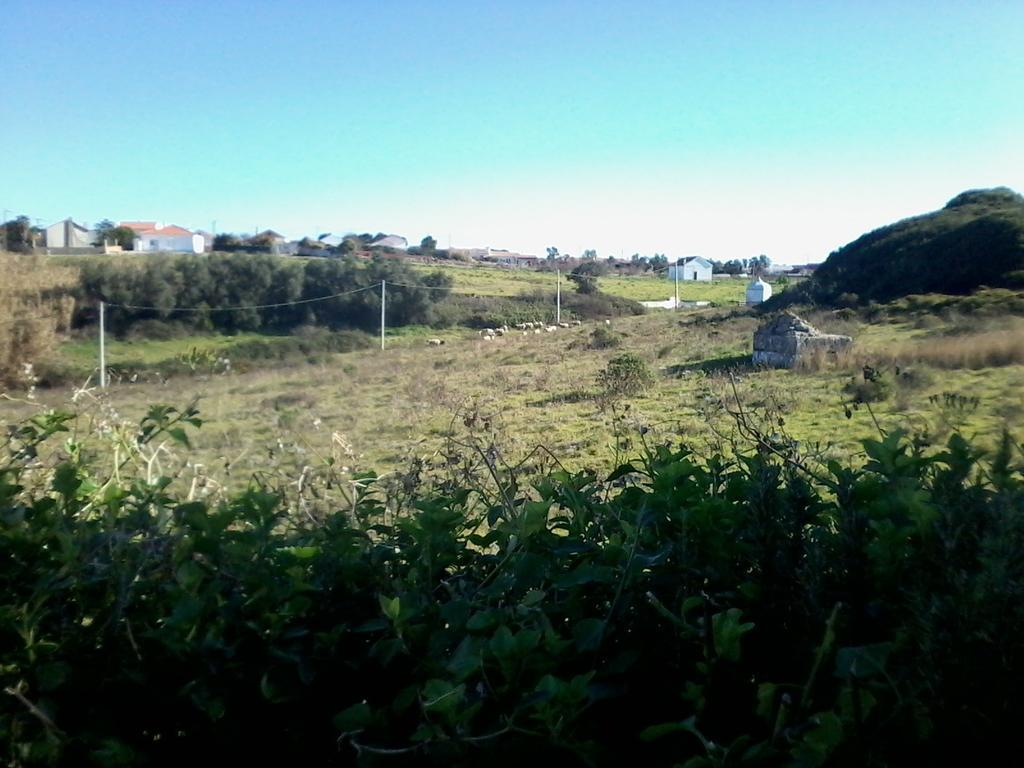 Cozy Country House Near Beaches Azoia  Bagian luar foto